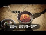 MBC 다큐스페셜 - 냉면의 진실 혹은 거짓 '함흥엔 함흥냉면이 없다?' 20130805