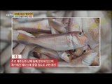 [Live Tonight] 생방송 오늘저녁 125회 - Jeju tile fish! 제주의 붉은 보석, 옥돔! 20150515