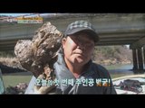 [On Air Today Evening] 생방송 오늘저녁 89회 - Spring health food of Seomjin river, blossoms oyster! 20150325
