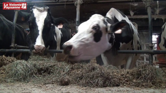 Betterave fourragère et distribution Aveyron