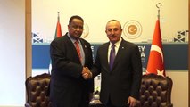 Dışişleri Bakanı Çavuşoğlu - Dışişleri Bakanı Ghandour Görüşmesi