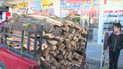 قطع الأشجار يهدد البيئة بكردستان العراق