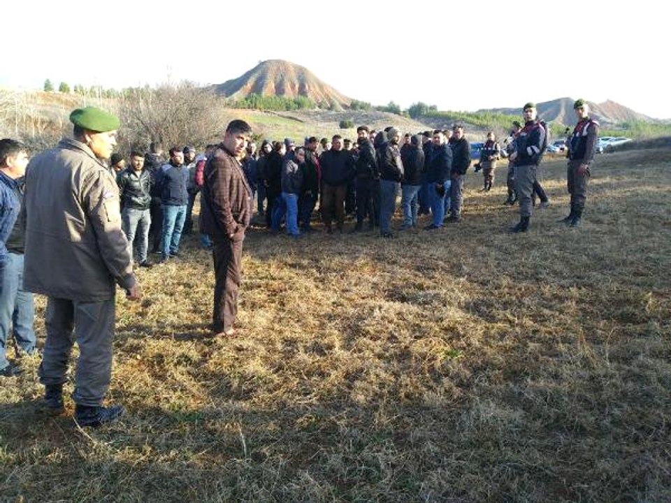 Köpek Dövüşü Arenasını Jandarma Bastı