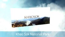 Tours In Khao Sok National Park