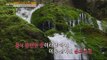 [Live Tonight] 생방송 오늘저녁 120회 - Gangwon-do Province, Samcheok 태고의 신비를 찾아 떠난 강원도 삼척 20150508