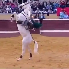 Beautiful Horse riding