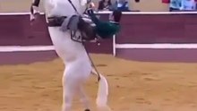 Beautiful Horse riding