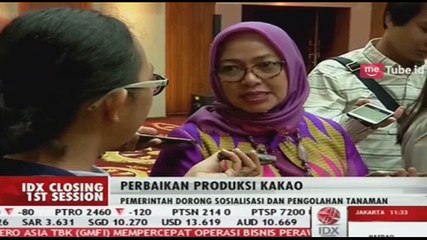 Pemerintah Upayakan Perbaikan Produksi Kakao