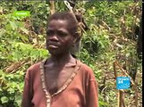 Pygmies: endangered people