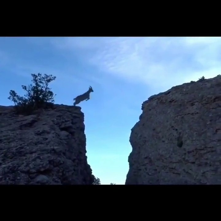 check this out footage