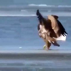 Fishing Skills