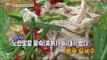 [Live Tonight] 생방송 오늘저녁 166회 - 'chicken' health food recipe 'Sweet Pumpkin Hwangsuk' 20150715