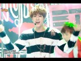 【TVPP】BTS - War of Hormone, 방탄소년단 - 호르몬 전쟁 @ Comeback Stage, Show! Music Core Live