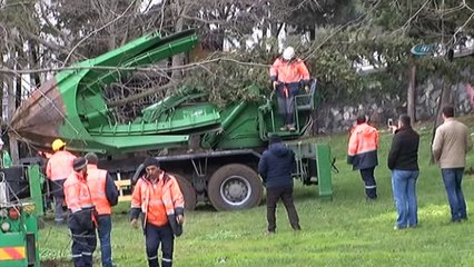 - Maçka Parkındaki ağaçlar sökülmeye başlandı