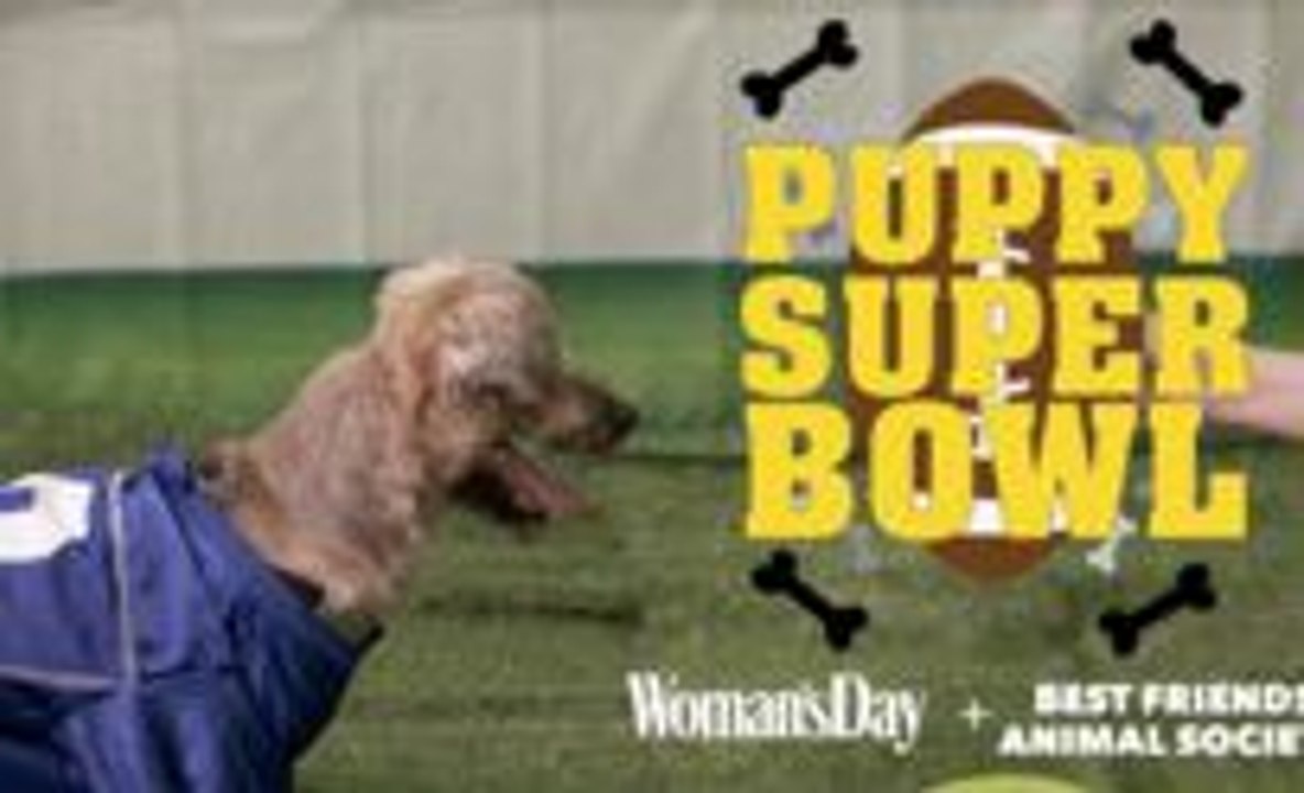 This Puppy Super Bowl Is SO Much Cuter Than The Official 2017 Super Bowl!