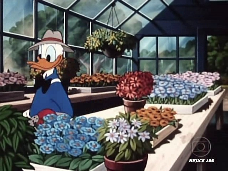 Mickey e Donald - Doce Como O Mel