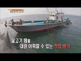 [Live Tonight] 생방송 오늘저녁 181회 - Yeosu fishing for Japanese Spanish mackerel 여수 삼치 잡이 20150805