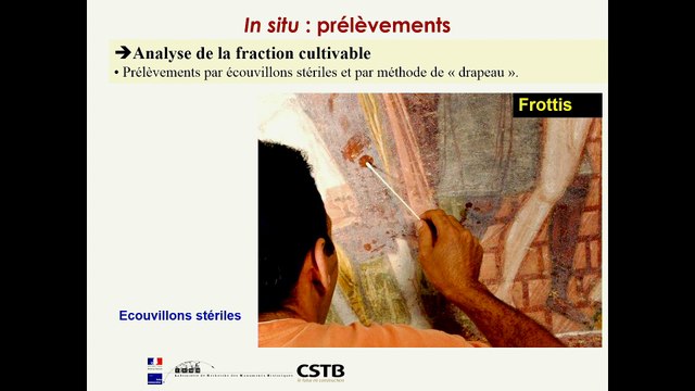 Innover pour conserver: Outils d’alerte et de surveillance des moisissures dans les espaces patrimoniaux