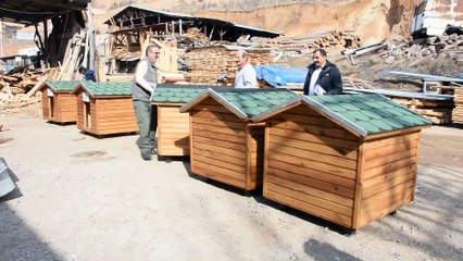 Sokak hayvanlarına konforlu kulübe hizmeti - GÜMÜŞHANE