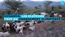 Ouganda, les éleveurs face au changement climatique