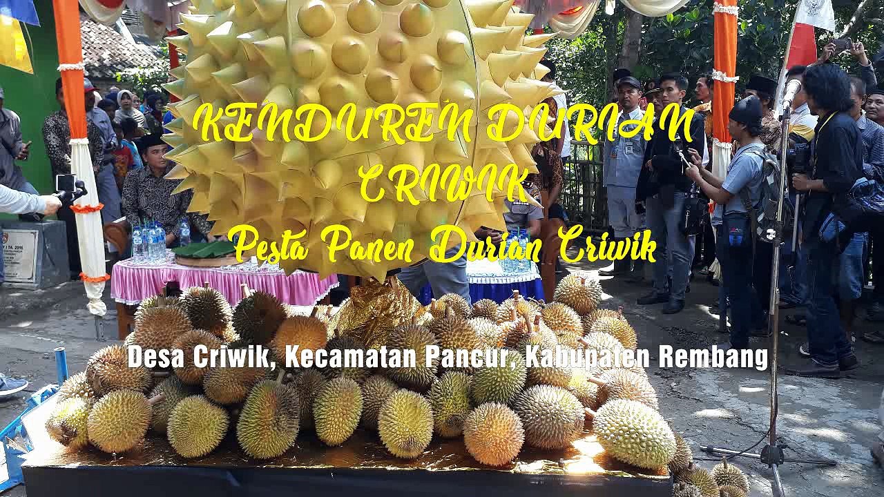 Prosesi Kenduren Duren Criwik Rembang