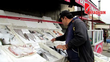 Urfa’da Deniz Yok Ama Günde 1,5 Ton Balık Tüketiyor