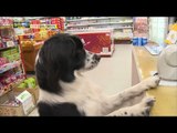 [Haha Land 2] 하하랜드2 - A Dog went to the shop to do my errands 20180124