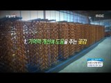 [Morning Show]preventing aging food! 노화 방지에 좋은 음식! [생방송 오늘 아침] 20180126