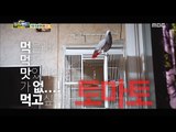[Haha Land 2] 하하랜드2 - A parrot that speaks people's language 20180131