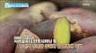 [Happyday]sweet potato, cancer prevention?! 고구마, 암예방을 한다?![기분 좋은 날] 20171218