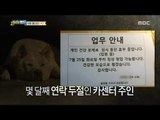 [Haha Land] 하하랜드 - Dogs not managed by the owner 20180117