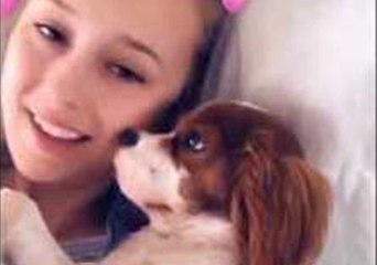 Tiny Puppy Fed Up With Selfies