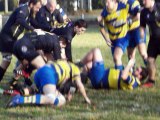 Cop rugby le mans et le Fontenay Luçon Rugby Sud Vendée