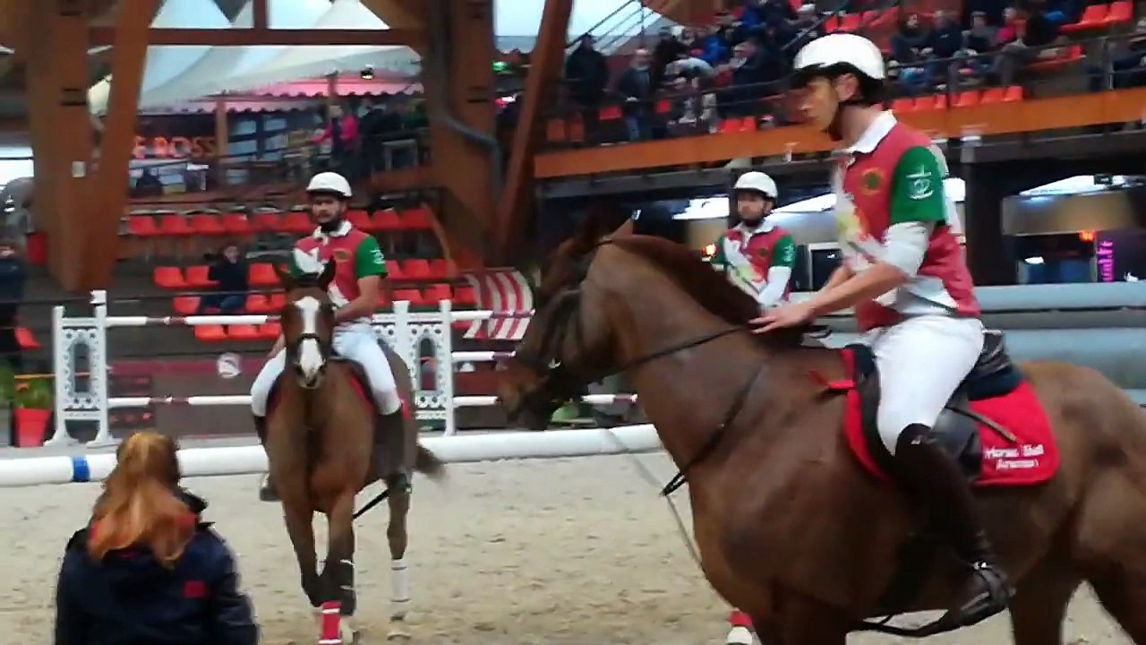horse-ball