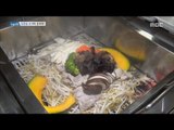 [Live Tonight] 생방송 오늘저녁 732회 -Steamed Pork Belly 20171124