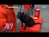 [Haha Land] 하하랜드 -Salvation Army dog! 20171206