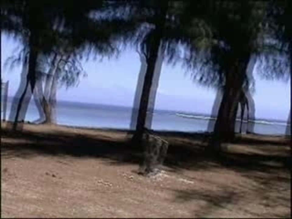 Ile de la réunion - plage de l'Hermitage