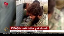 DEAŞ'lı teröristler yakalandı