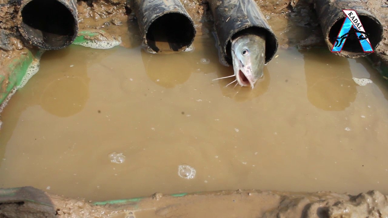 Wow! Believe This Fishing? Technique Trap Deep...