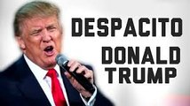 Donald Trump, Singing ,Despacito  ,video de humor , divertido donald trump, Luis Fonsi, Daddy Yankee,funny tramp, Justin Biber