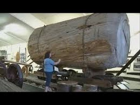 Extreme Modern Wood Cutting Machines Intelligent Equipment Factory Processing Huge Wood