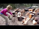 Amazing Young Girls Chopping Woods Cutting Trees Splitter Best Farming
