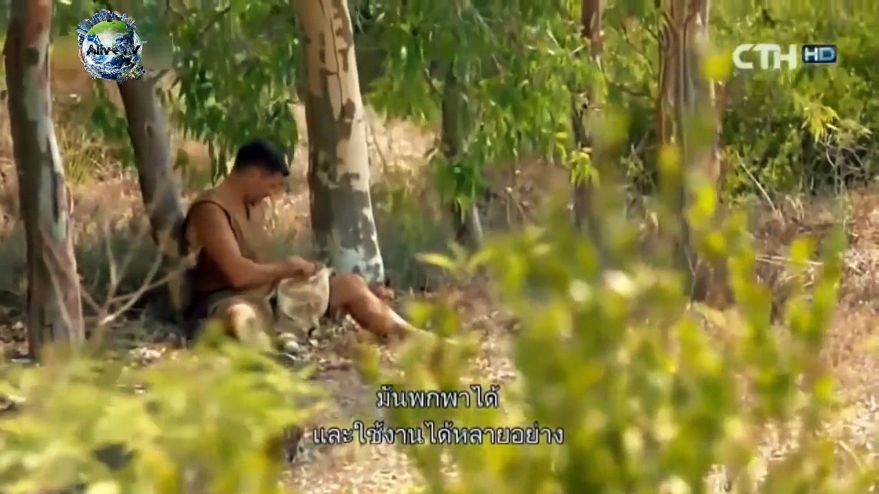 ชาย 1 หญิง 1 เอาตัวรอด สร้างที่พักแบบมนุษย์โบราณ EP.1 l ตอน สร้างเรือหาอาหาร เอาชีวิตรอดจากเกาะร้าง