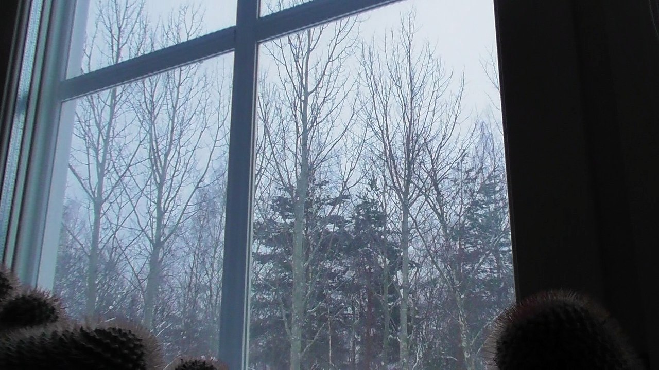 Feb 12 2018 DL22