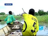 FRANCE 24 Environnement - ENVIRONNEMENT - Le lac Tchad, en voie de disparition ?