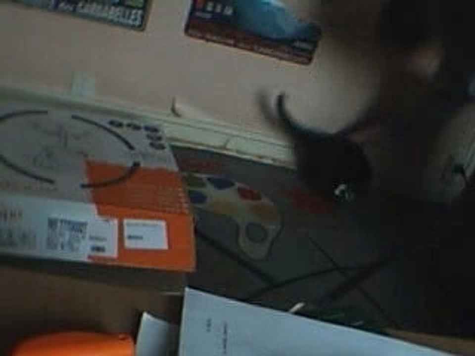 Toupie VS Peluche