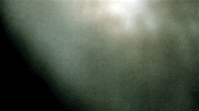 Symbiosis - Mikrokosmos VII