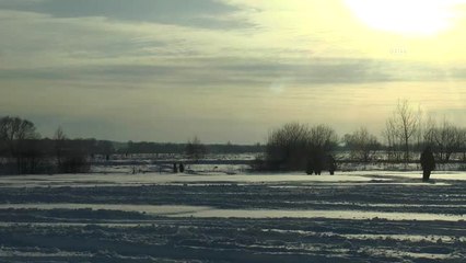 Rusya'daki Uçak Kazası - Ekiplerin Çalışmaları Sürüyor