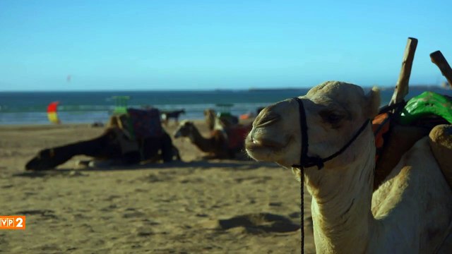 Barwy szczęścia – zwiastun odc. 1802