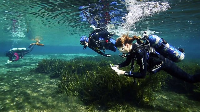 Scubapro GO Fins Win ScubaLab Testers Choice